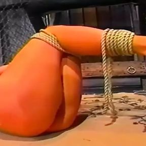 Kristas struggle and bondage - DVD