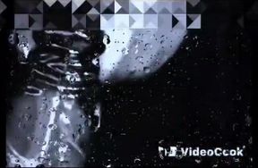 Lustful Dick Sucking Lipz Part 2
