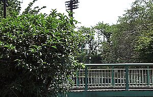 Roe-135 my daughter-in-law calls a male friend and make