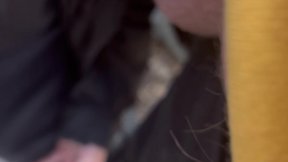 Exploring the woods and finding someone to spend time with