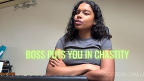 Boss puts you in chastity - Goddess Luna Law puts you in your place