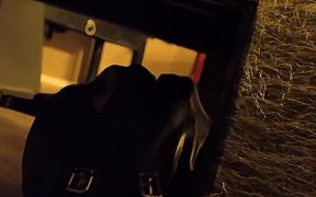 Hanna Engels - Trained Beneath the Throne - Complete Submission Meets Clear Command