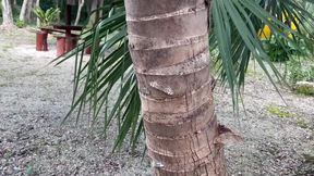 Natural Slut Stella Gray Gets Covered In Cum In Tulum