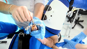 Mistress Odette and Freshie Probe and Sound Patient
