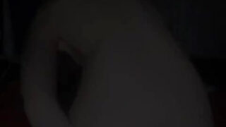 Inked babe gets her ass pounded hard