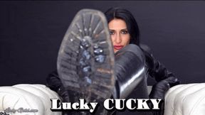 Lucky CUCKY