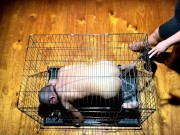 Dominatrix Mistress April - A Life at Her feet - trailer