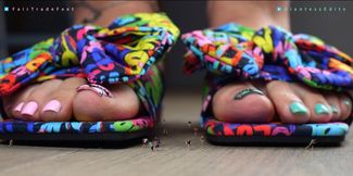 Giantess Fair Trade - Tresspassers Part 3