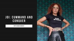 JOI: cummand and conquer.