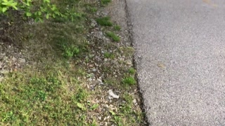 Train station dick flashing. Amateur exhibitionist jerk-off | Johann Wood