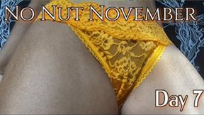 No Nut November | Week 1 Complete (HD) WMV