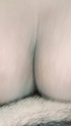 Epic moment from "Tamil sexy Couple wearing Saree Deep throat sucking and Fucking"