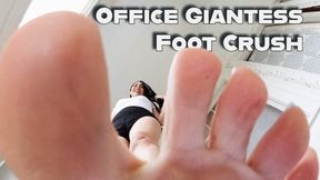 Office Giantess Foot Crush -Assistant Stella Liberty Dominates Her Foot-Perv Boss with Her Soles and Crushes and Squeezes Him in Her Toes - 4K MP4
