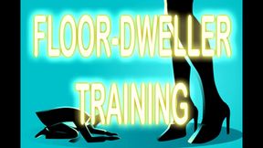 FLOOR-DWELLER TRAINING