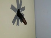 Bbc trying out my glory hole