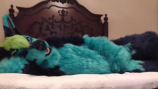 Bedtime funtime - fursuit fun