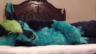 Bedtime funtime - fursuit fun