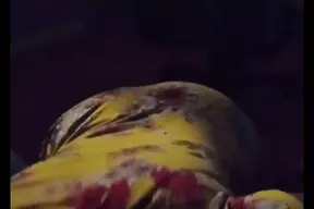 milf Have a Birthday Surprise for Me