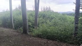 Between the Beeches: Rough Exhibition on Bare Wood