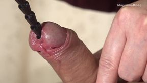 My Foreskin Penis and Loose Asshole 2026