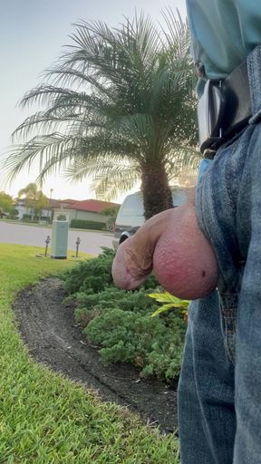 Public Exposure in Side yard
