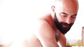 Bald Cub Ale Tedesco Rides Daddys Hairy Cock