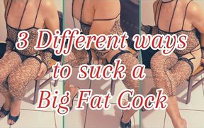 3 Different Ways to Suck a Big Fat Cock