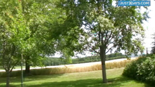 Gay passivi desiderosi vengono scopati duramente nel culo senza preservativo e ricoperti di sperma