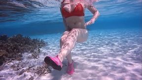 Pour ce dimanche tr&egrave_s chaud, tout va se passer dans l'_eau des Maldives, alors ...