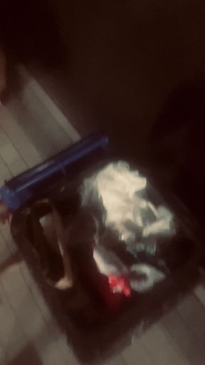 Eats Cigarette Butts and Trash From a Trash Can on the Street