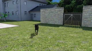 Lust And Life Cap 13 - El Sexy Culo De Lily Y Vanessa