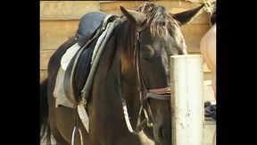 Blonde milf gets outdoor gang-banged to perfection