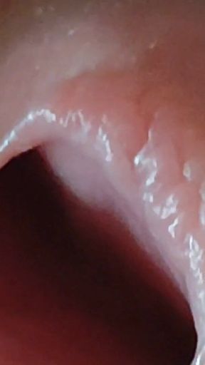 Entering the Glans of Pleasure!!!