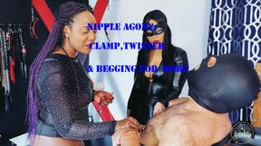 Nipple Agony: Clamp,Twisted & Begging for More