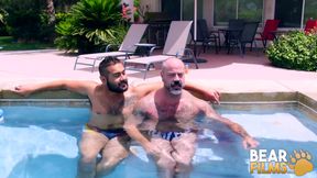 Bearfilms Avi Striders Rimmed And Raw Bred By Scotty Rage