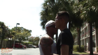 Getatoeëerde, gespierde homo's met enorme penissen neuken zonder condoom, zuigen diep en spuiten in hun gezicht.