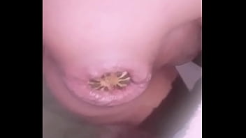 Anal Xtreme insertion vegetal