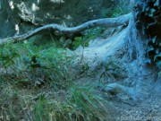 Extreme hiking and sex with my roommate nearby a waterfall full of people ISEEME