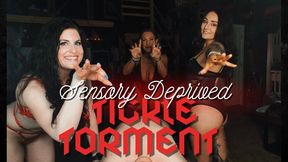 Sensory Deprived Tickle Torment