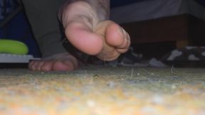 Lick my feet