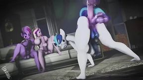 MLP - Compilation P8