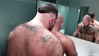 Sem camisinha, beijando, lambendo, peludo, banheiro – ursos amadores gays putos fodidos no cu