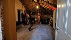 In the Attic of my Italian Villa - ENTIRE