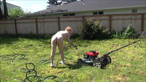 Mouse in Yardwork HD