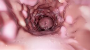 What if we put an endoscope camera inside the pussy of an expensive doll?