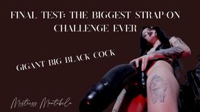 Final Test: The Biggest Strap-On Challenge Ever
