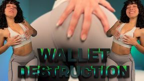 Wallet Destruction - FINDOM, DRAIN, BRAT GIRLS by Goddess Ada
