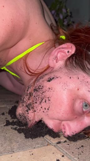 Mud, Licking Shoe, Toilet Washing