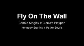 Fly On The Wall