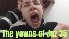 The yawns of Jaz 35